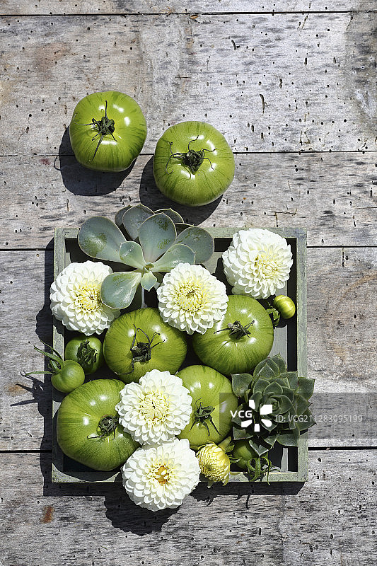 白色的绒球大丽花，绿色的西红柿和木盒子里的小韭葱图片素材