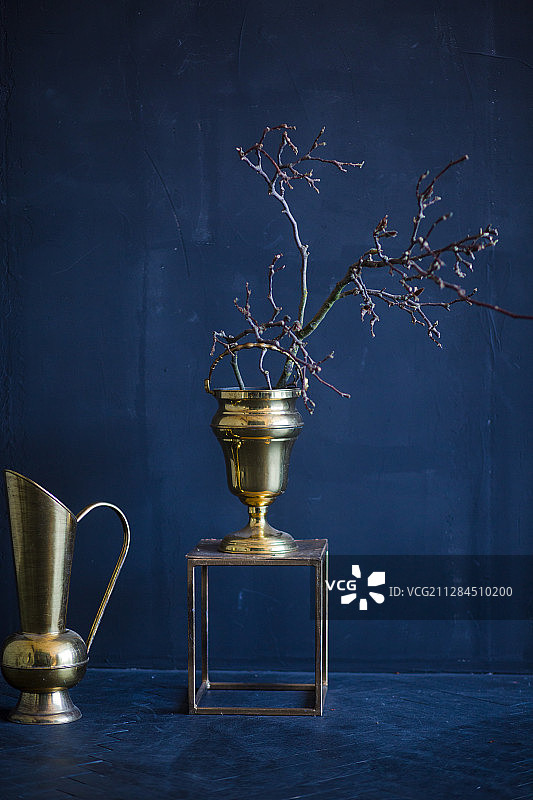 金枝花瓶，法国博福特图片素材
