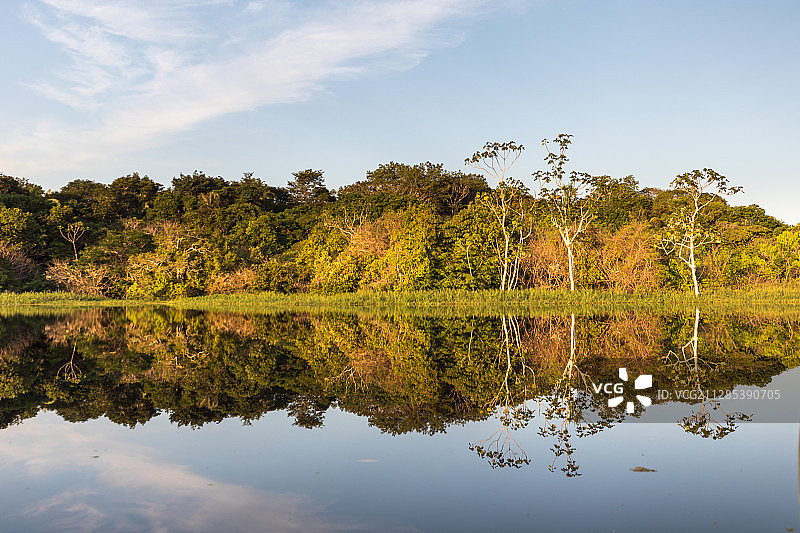 湖和森林，马瑙斯，巴西，亚马逊图片素材