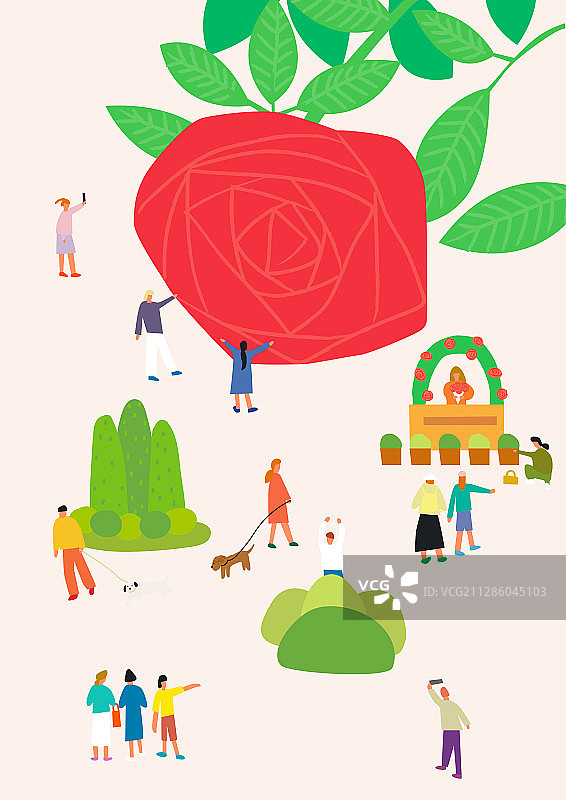 玫瑰，花，节日，人，春天图片素材
