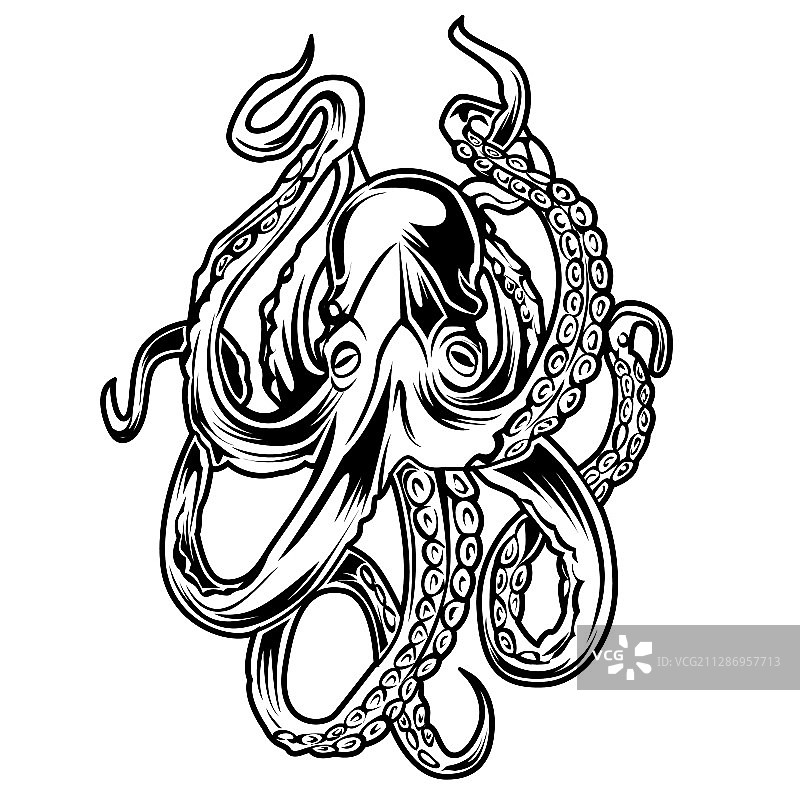 章鱼海图纹身5图片素材