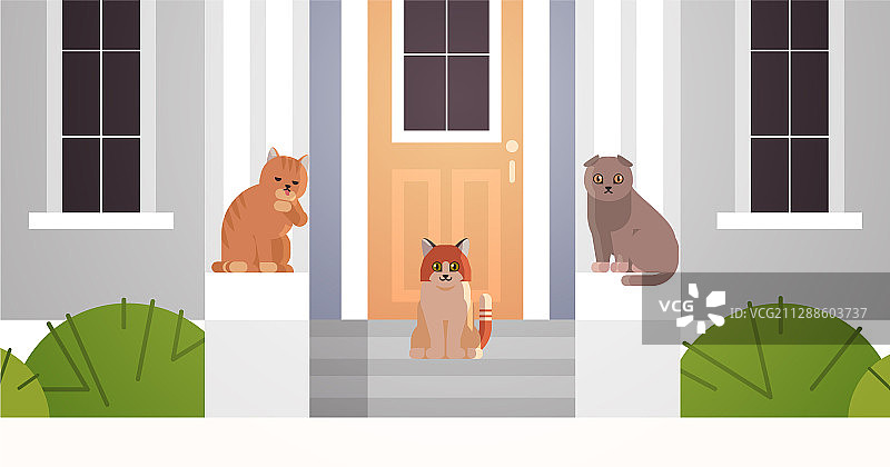 猫成群地坐在门房的门廊上图片素材
