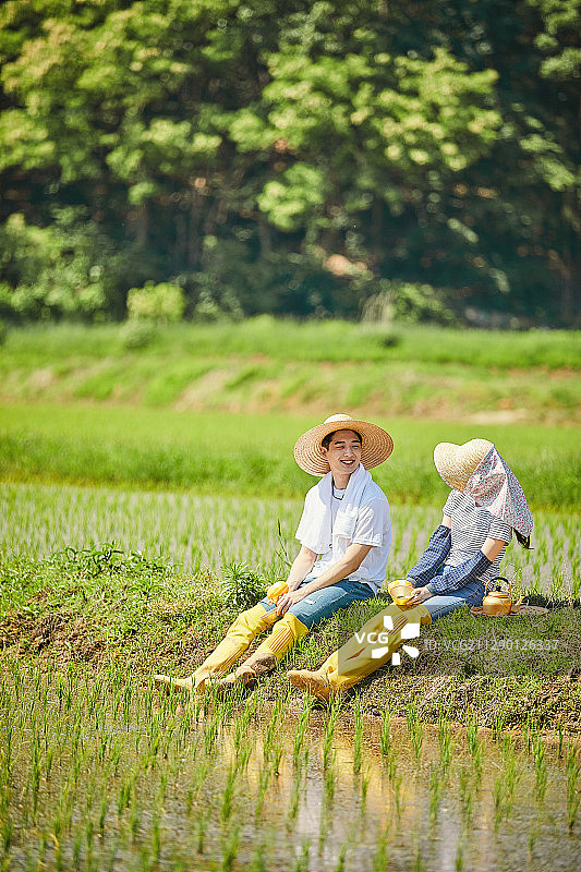 农业，农村，农民，农业，水稻图片素材