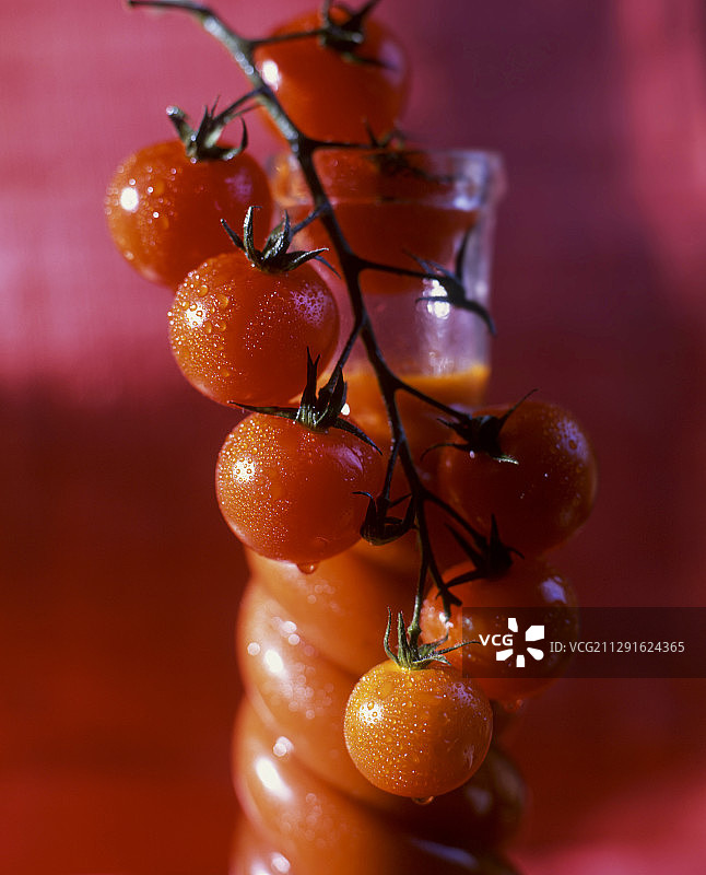葡萄藤番茄与一瓶番茄汁的背景图片素材