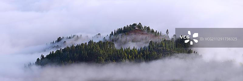 云雾笼罩的岛屿，泰德国家公园，特内里费，加那利群岛，西班牙，欧洲图片素材