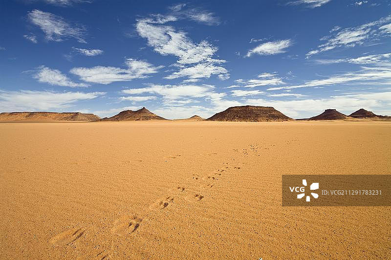 骆驼在利比亚沙漠的足迹，从单峰骆驼(骆驼)，阿库斯山，利比亚，撒哈拉，非洲图片素材
