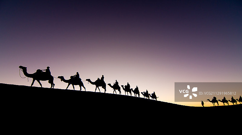 日出时的骆驼商队，摩洛哥约夫的切比图片素材