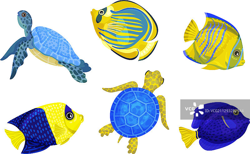 色彩鲜艳的珍奇鱼类和海龟图片素材