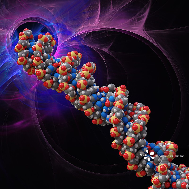 B-DNA分子,说明图片素材