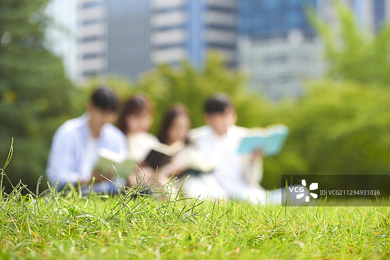 四个大学生并排坐在草地上看书图片素材