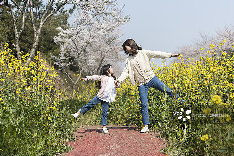 母亲和女儿手牵着手伸出手臂旁边的油菜花在公园里图片素材