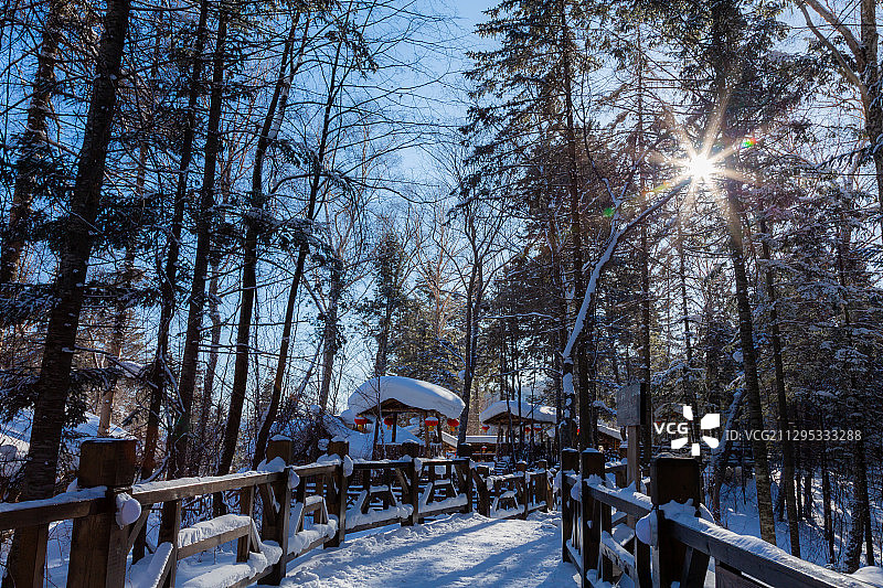 2018年2月18日，雪乡小树林里的日出。图片素材