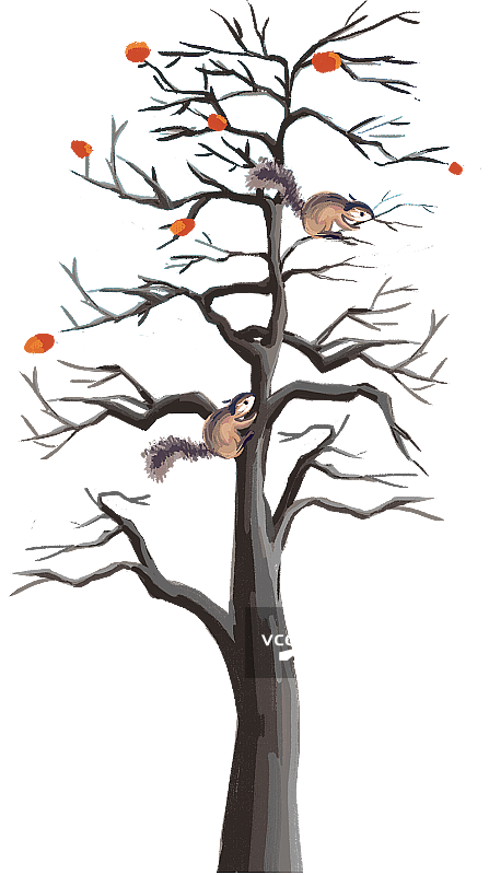 秋季有松鼠的柿子树手绘插画图片素材