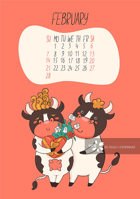 日历为2021年2月可爱的公牛和奶牛图片素材