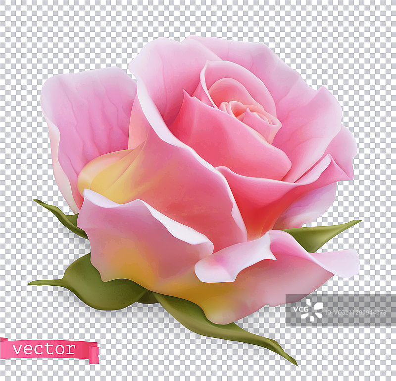 粉红玫瑰3d逼真的对象图片素材