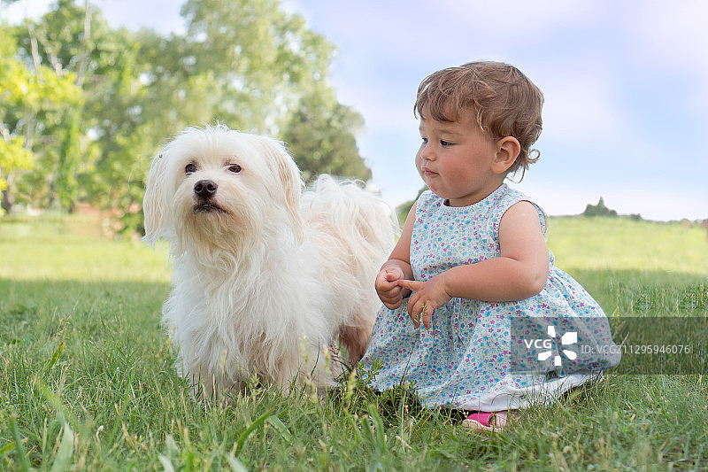 在阳光明媚的日子里，塞尔维亚苏博蒂卡，一个快乐的小孩和一只白狗坐在草地上图片素材