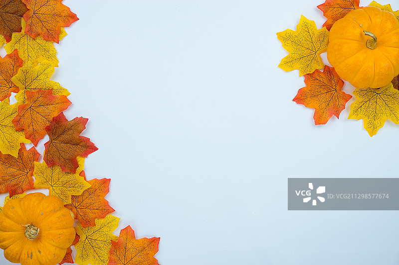 高角度的看法，秋天的叶子在白色的背景图片素材