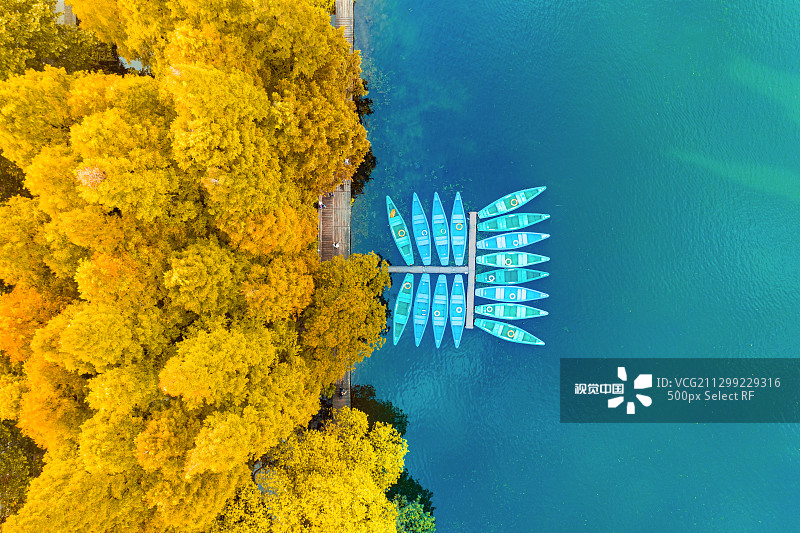 杭州西湖杨公堤秋季景色航拍图片素材