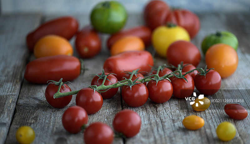 西红柿有不同的形状和颜色图片素材