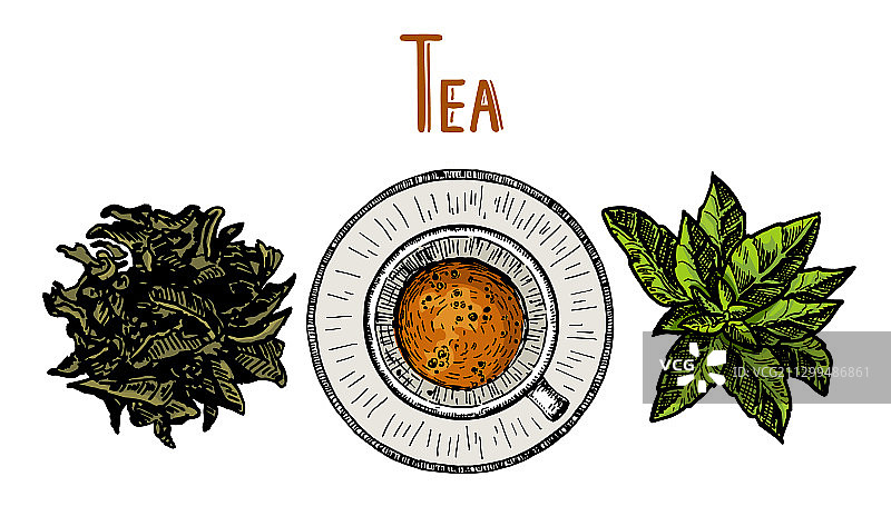 茶杯和茶叶手绘素描图片素材