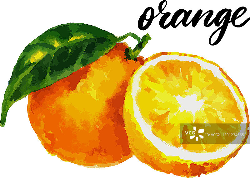 水彩橙柑橘近期水彩图片素材