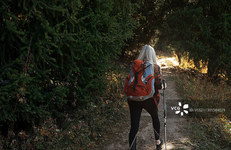 女人背着背包，拄着拐杖在山林中探险图片素材