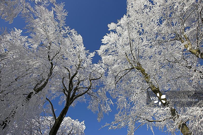 德国沃格斯堡的雪景。图片素材
