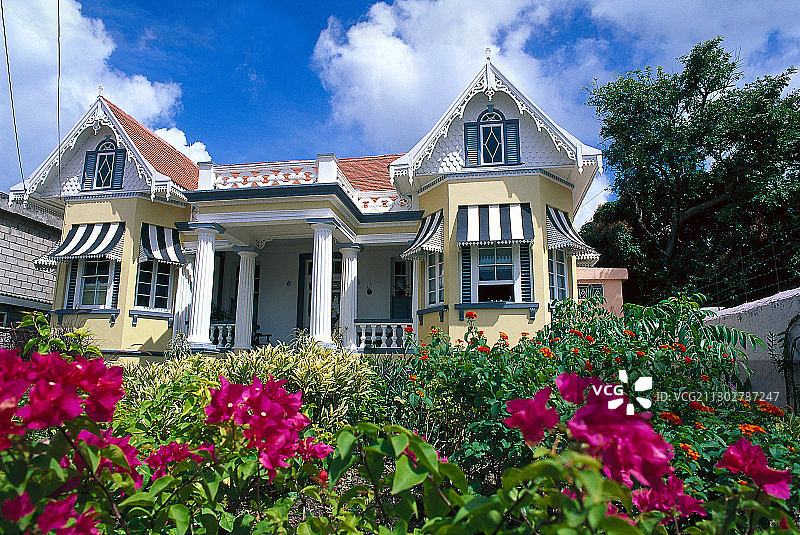 阳光下的住宅前鲜花，圣乔治，格林纳达，加勒比海，美国图片素材
