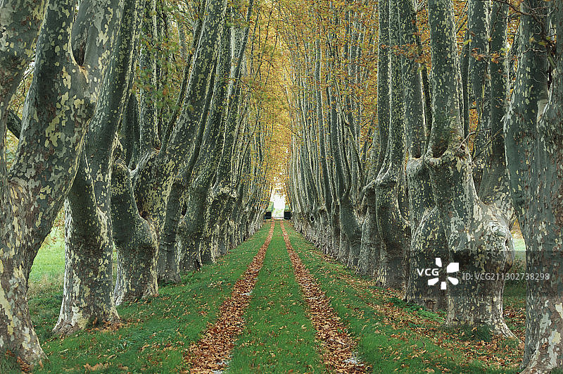 秋天的小巷，瓦尔，法国，欧洲图片素材