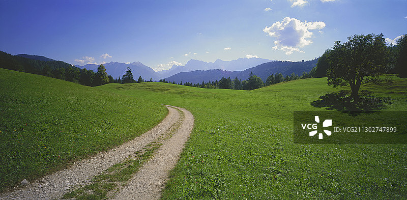 德国上巴伐利亚穿过草地的小径图片素材