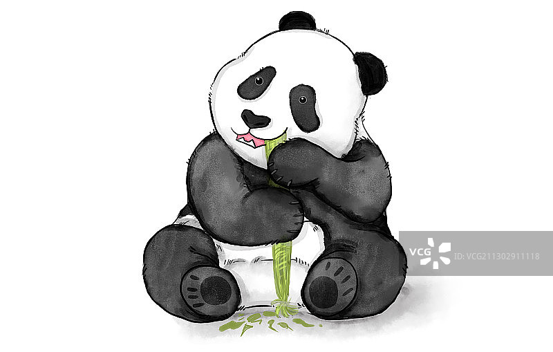 手绘板绘水彩质感国宝熊猫元素插画图片素材