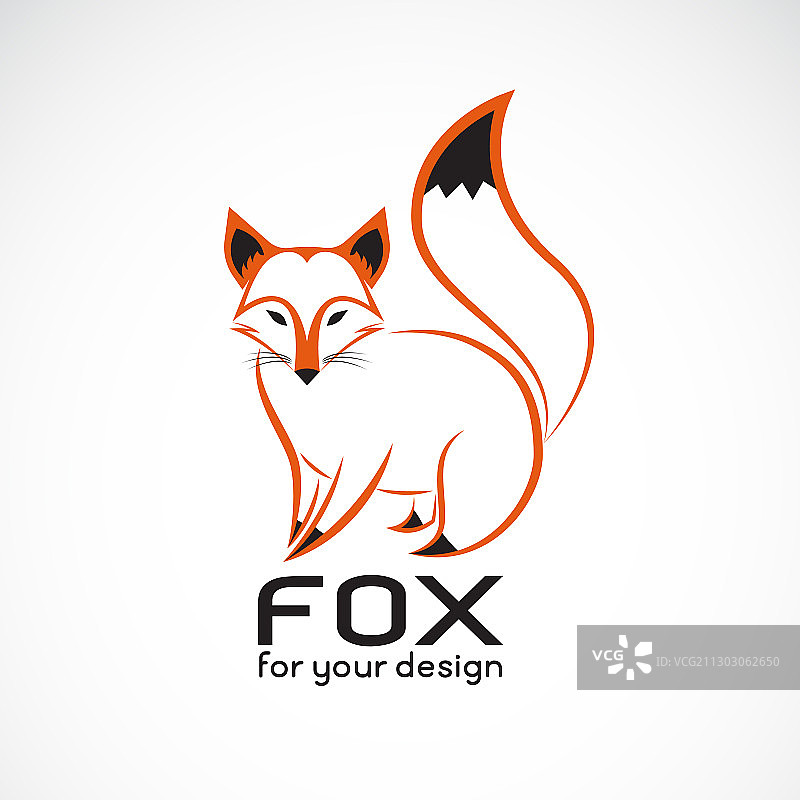 狐狸图案上有白底野生动物狐狸图片素材