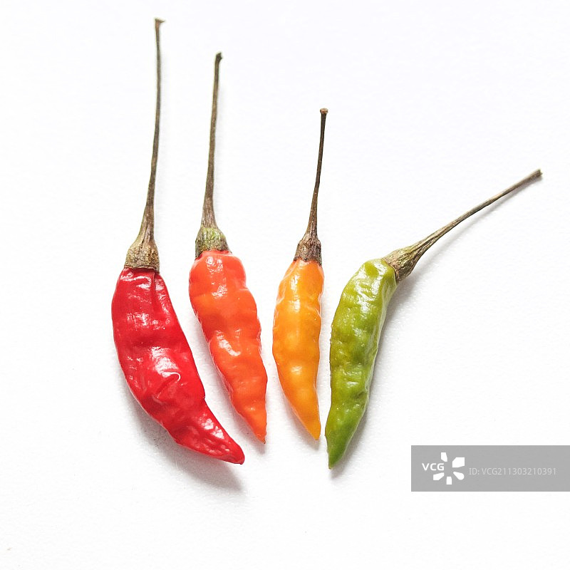 特写红辣椒在白色的背景图片素材