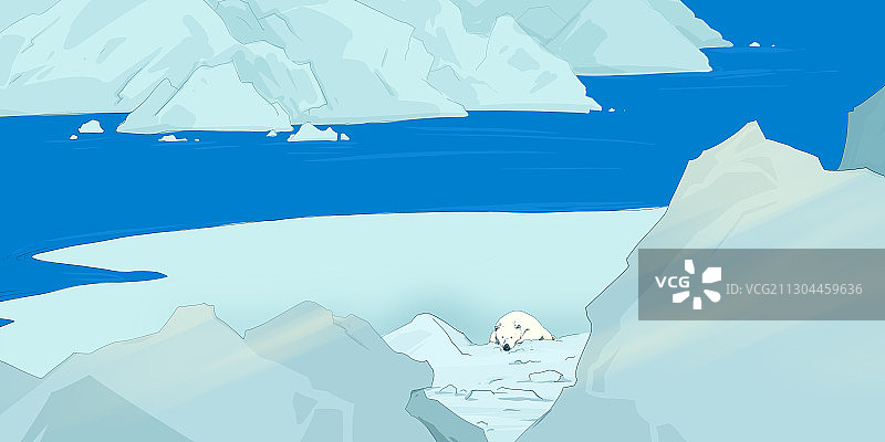 气候变暖北极熊图片素材