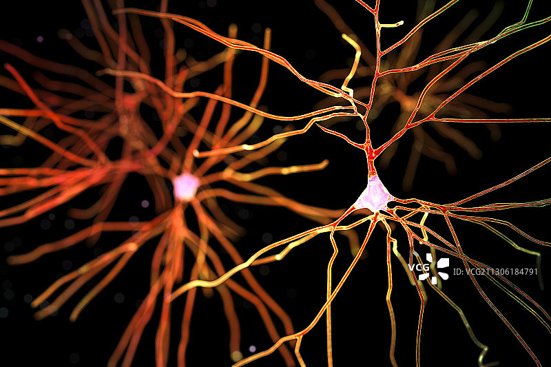 神经细胞，电脑演示图片素材