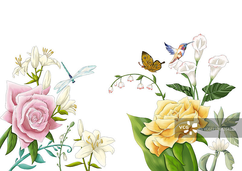 小清新植物动物花卉蝴蝶蜂鸟素材插画图片素材