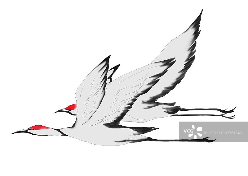 中国风两只飞翔的仙鹤插画图片素材