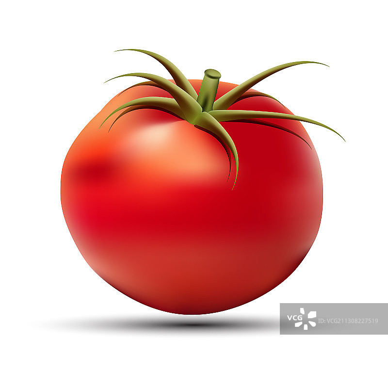 白色背景上的番茄孤立蔬菜图片素材