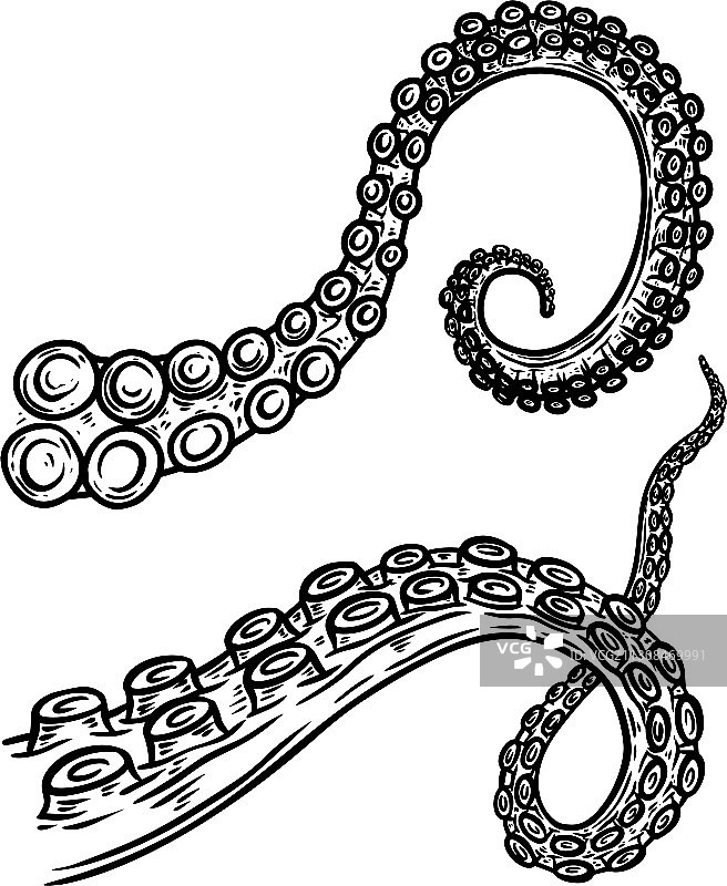 设置章鱼鱿鱼的触须雕刻风格图片素材