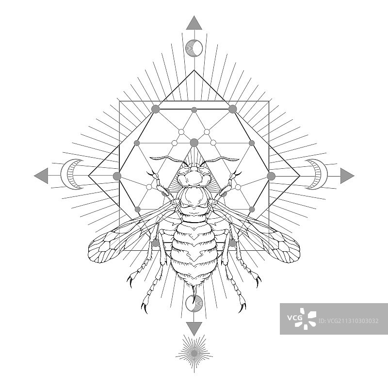 手绘黄蜂和神圣的几何符号图片素材