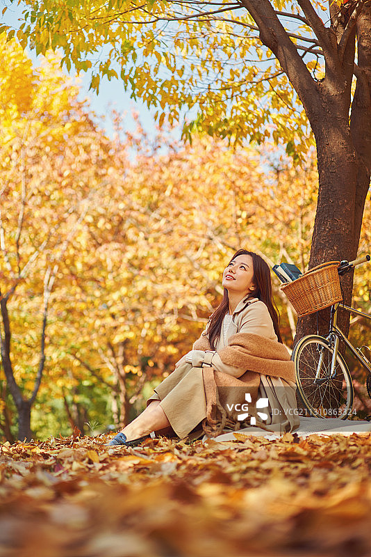 秋天，情感，十一月，野餐，快乐，枫叶，落叶，假期图片素材