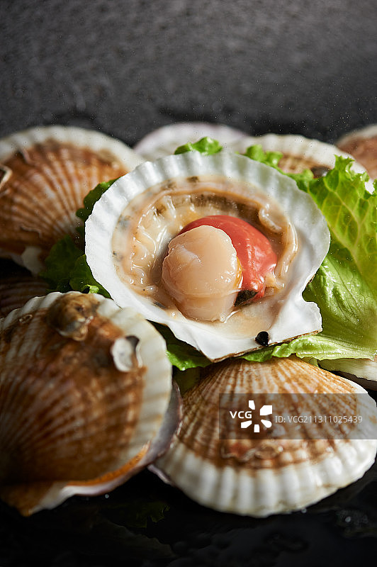 生鲜扇贝海鲜贝壳图片素材