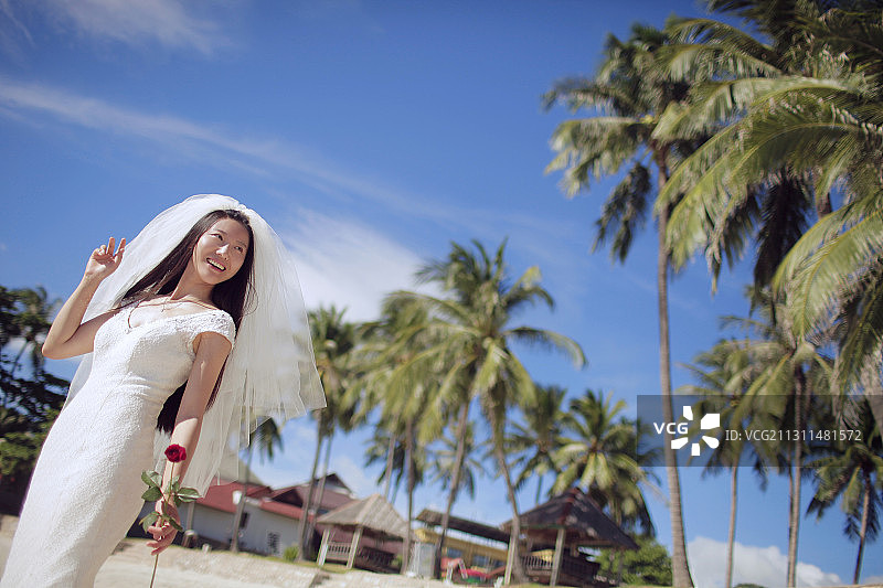 一个新娘站在棕榈树下图片素材