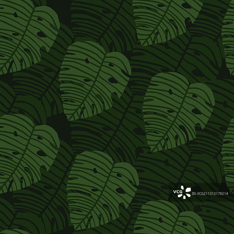 几何绿怪物叶壁纸植物图片素材