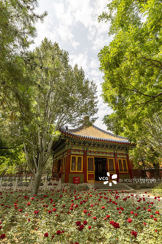 北京故宫（紫禁城）慈宁宫花园图片素材