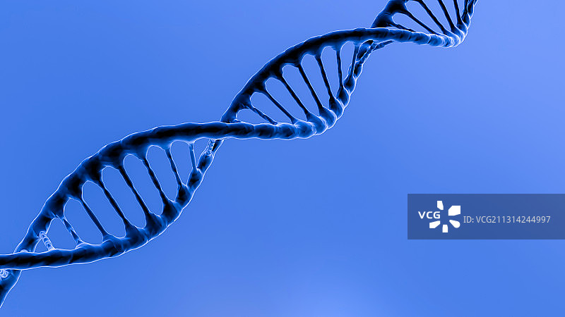 蓝色DNA基因链条三维渲染图片素材