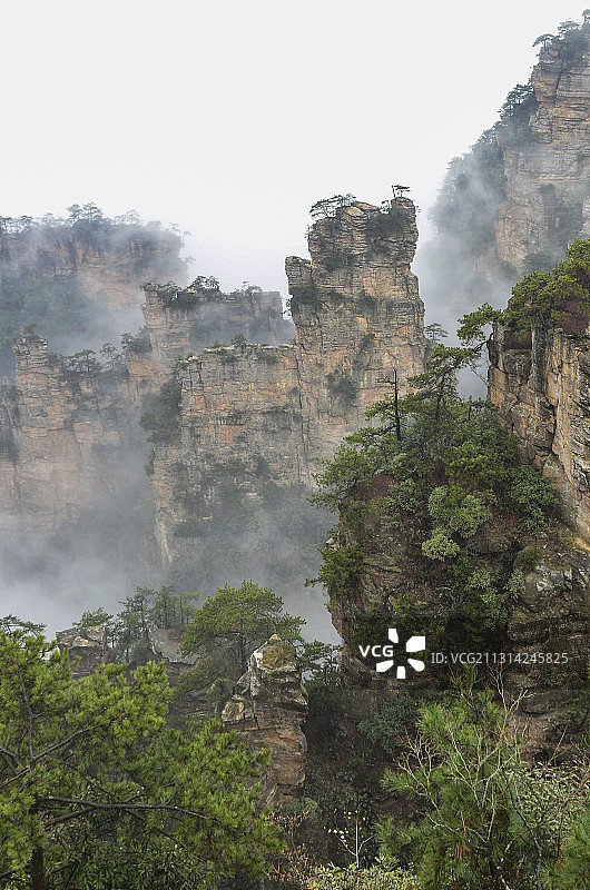 晨雾中的湖南张家界武陵源国家地质公园自然风光图片素材
