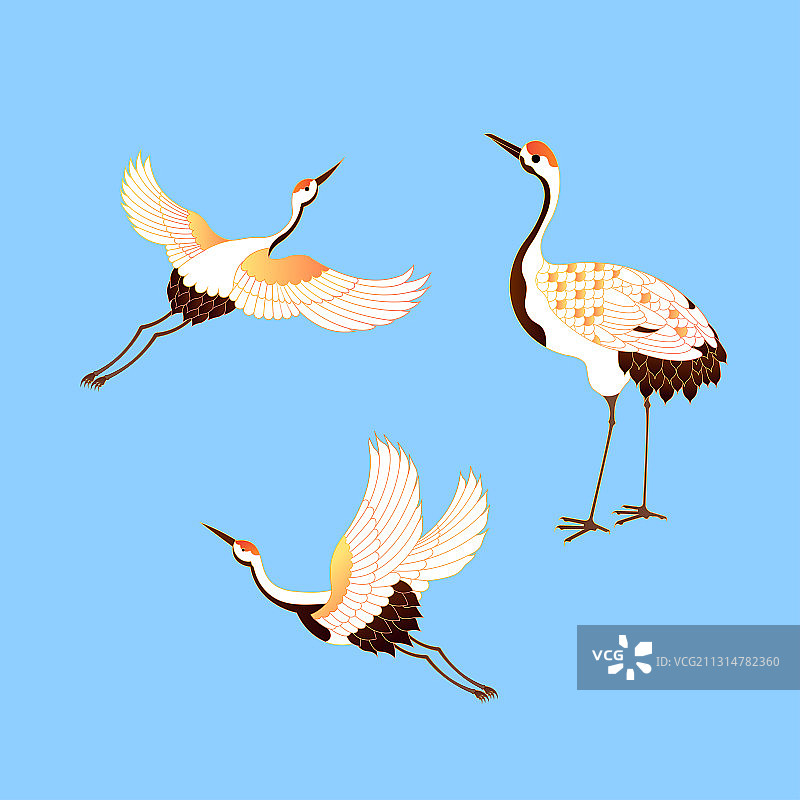 在空中飞翔的鹤矢量插画图片素材