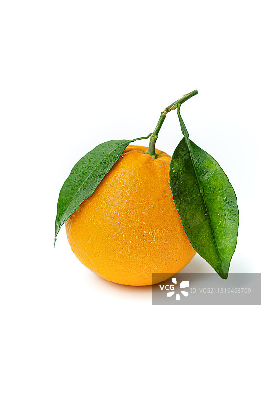 水果橙子静物摄影作品图片素材