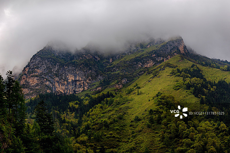雨后的官鹅沟的森林公园，远处的山峰被云雾遮挡，此时此景就像是图片素材